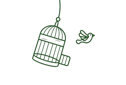 bird flying out of cage to indicate freedom from cigarettes and smoking
