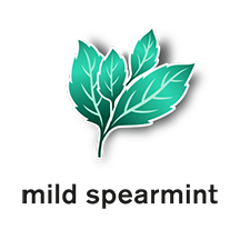 Nicorette QuickMist Mild Spearmint Flavour logo